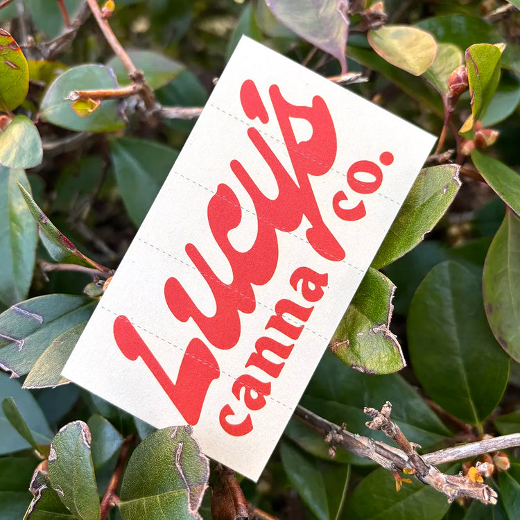 Crutch Card with bold red “Lucy’s Canna Co.” branding nestled among green leaves, showcasing a natural, eco-friendly vibe.